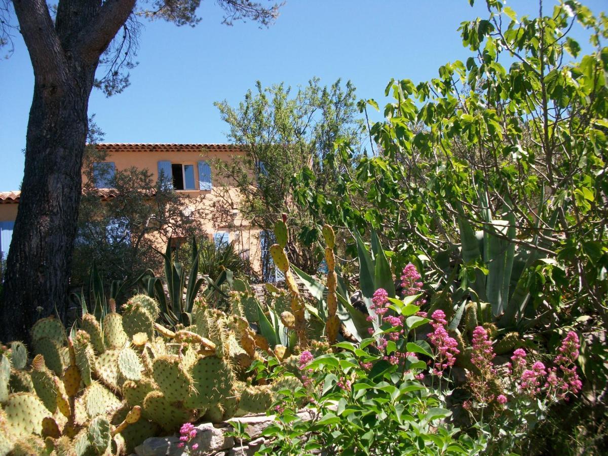 Les Chardons Bleus Bed & Breakfast Lorgues Bagian luar foto