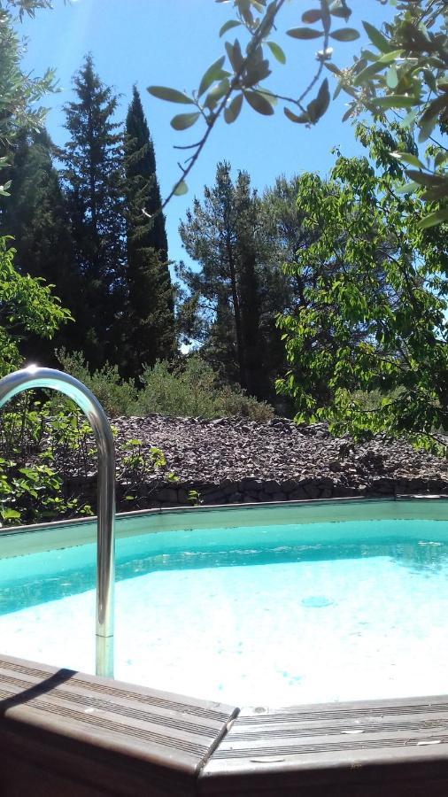 Les Chardons Bleus Bed & Breakfast Lorgues Bagian luar foto