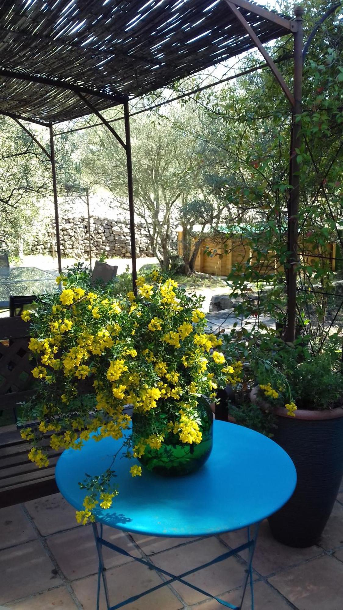Les Chardons Bleus Bed & Breakfast Lorgues Bagian luar foto