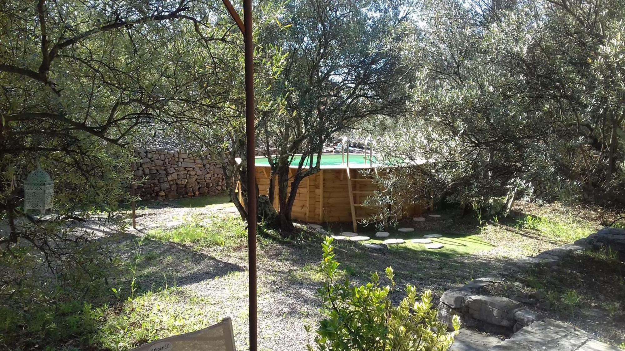 Les Chardons Bleus Bed & Breakfast Lorgues Bagian luar foto